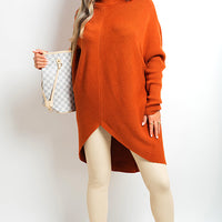 Turtle Neck Longline Knitted Jumper