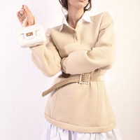 Collared Long Sleeve Mini Dress