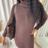 Chunky Roll Neck Knitted Jumper Dress