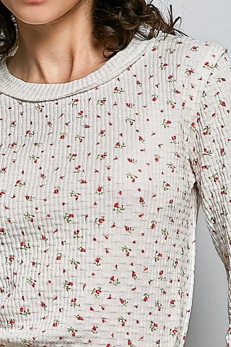 Ivory ribbed knit crew neck long sleeve top with tiny floral print detail