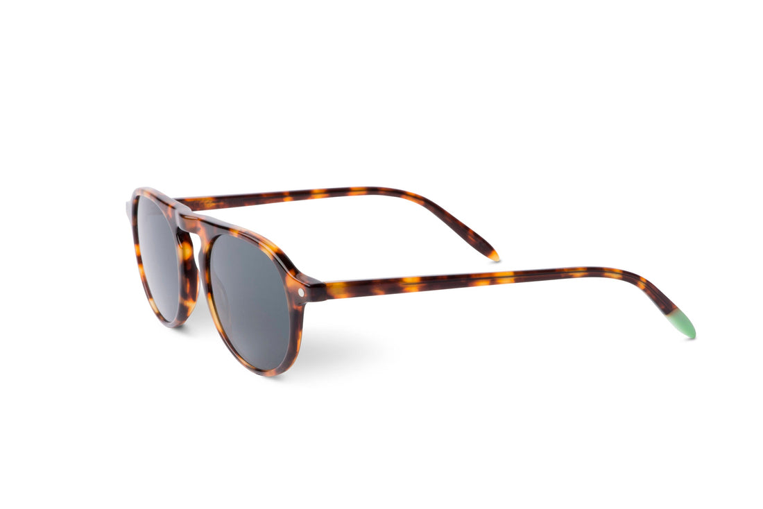 Zingaro – Tortoise - SUNGLASSES-2