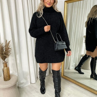 Chunky Roll Neck Knitted Jumper Dress
