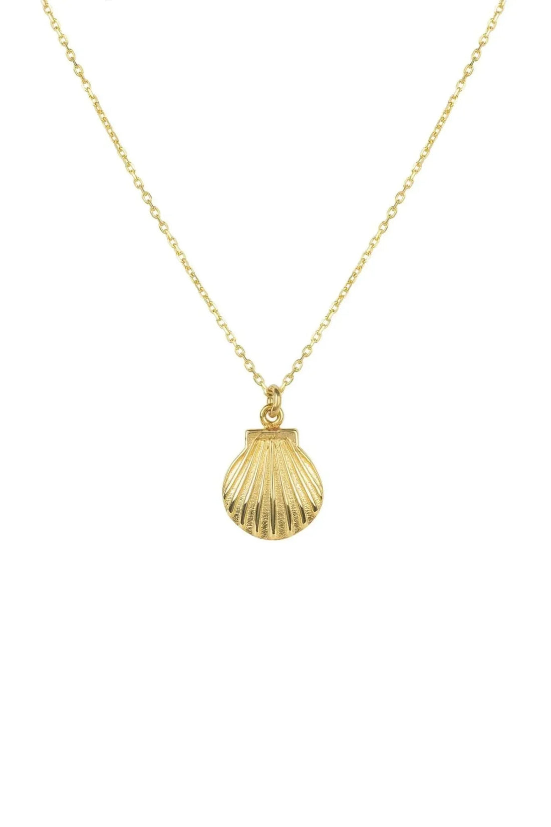 Gold mini scallop shell pendant necklace on a thin chain