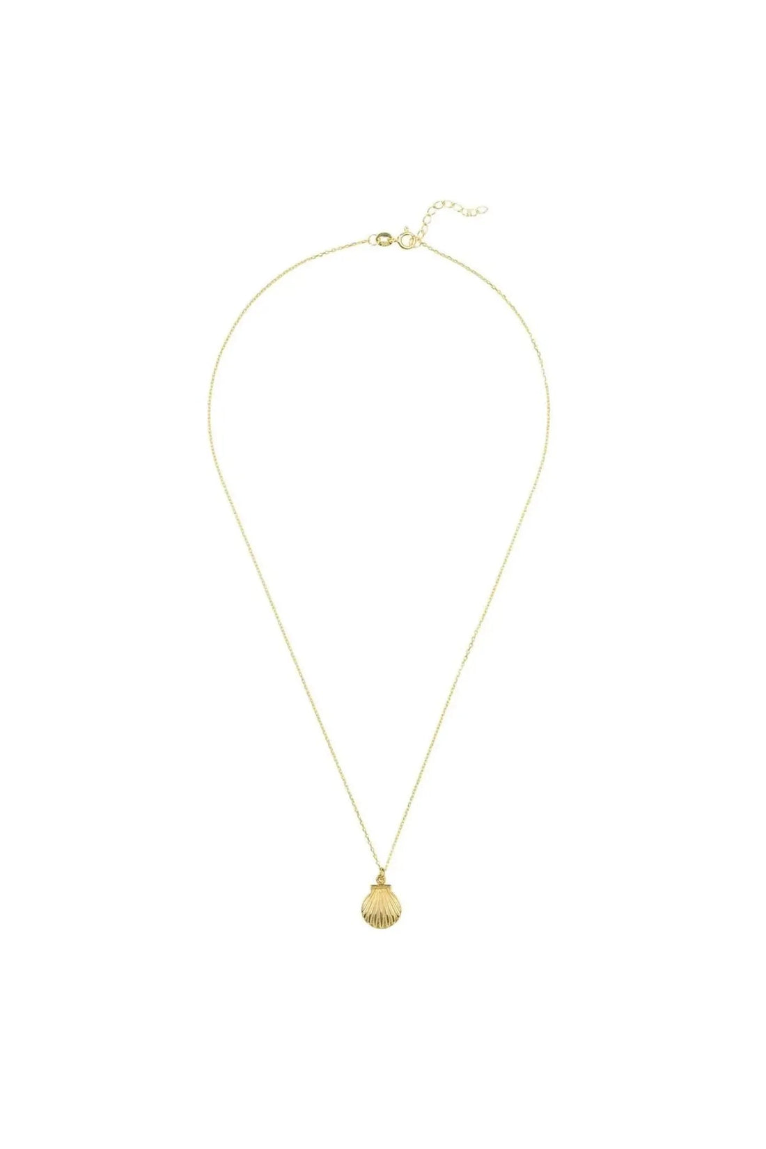 Gold shell pendant necklace with long chain and small scallop charm