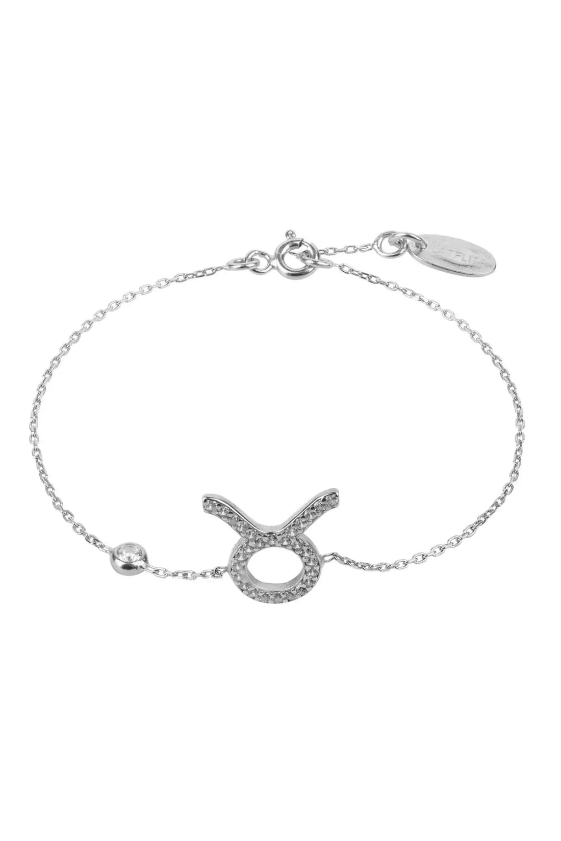 Silver-tone Taurus zodiac charm bracelet with chain and star sign pendant