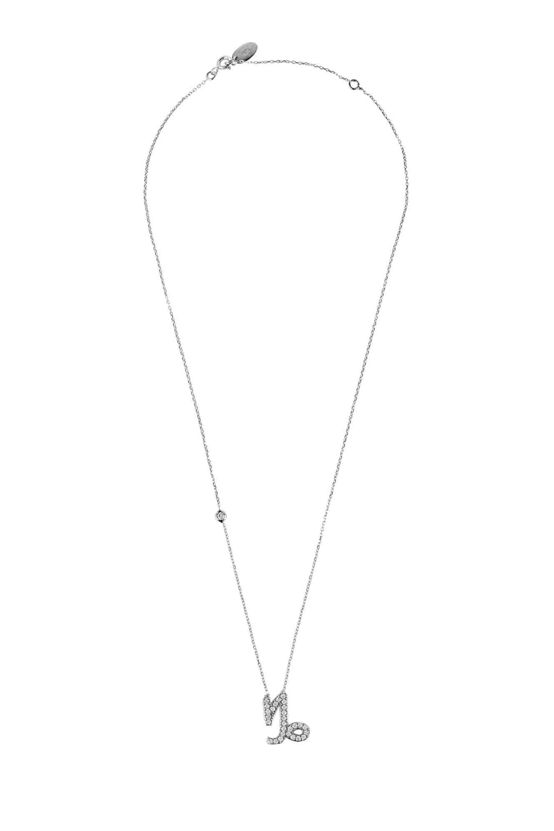 Zodiac Star Sign Pendant Necklace Silver Capricorn-2