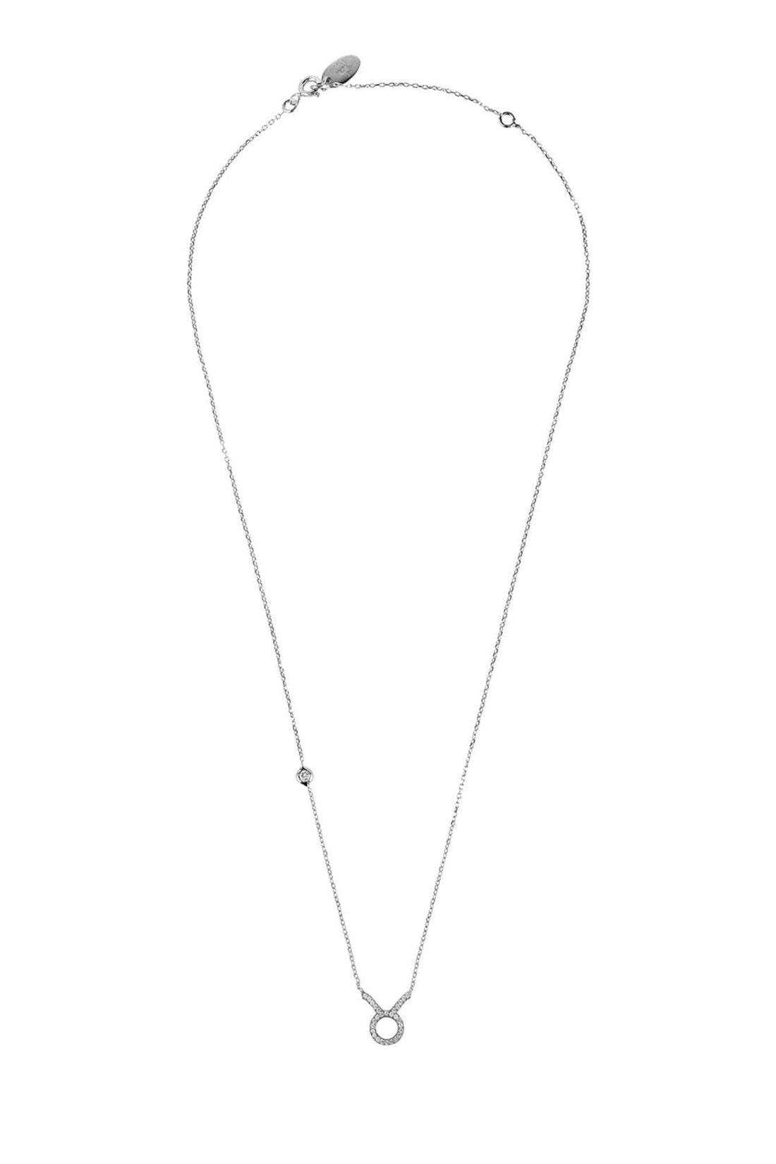 Silver-tone Taurus zodiac pendant necklace featuring ring pendant on long chain